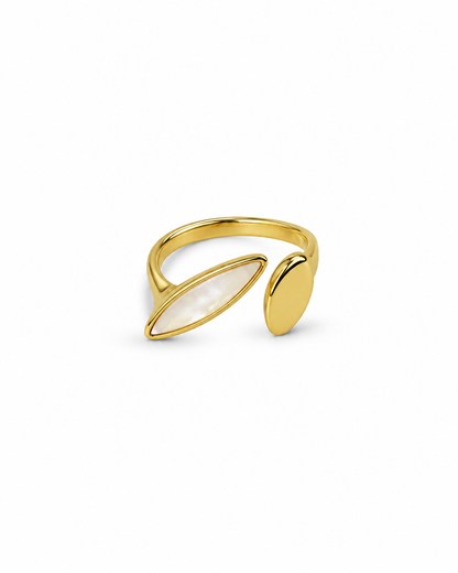 Anillo Foglia