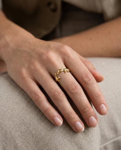 Anillo Bassotto dorado en mano