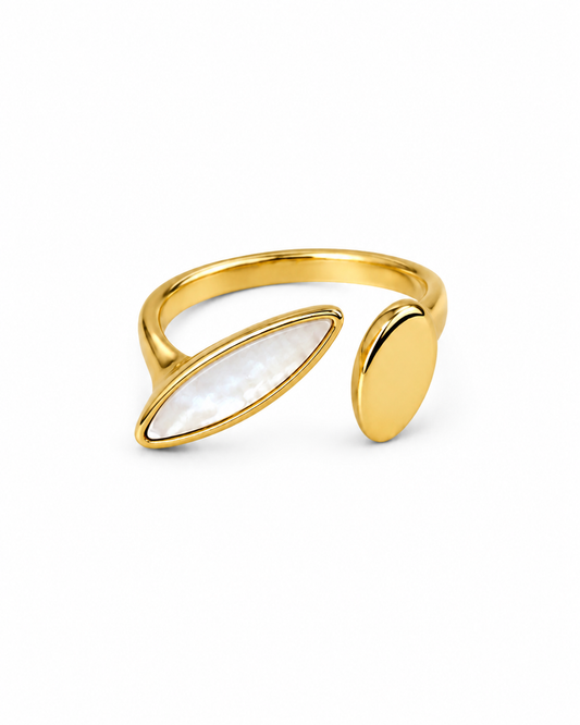 Anillo Foglia